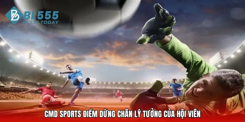 CMD Sports điểm dừng chân lý tưởng của hội viên