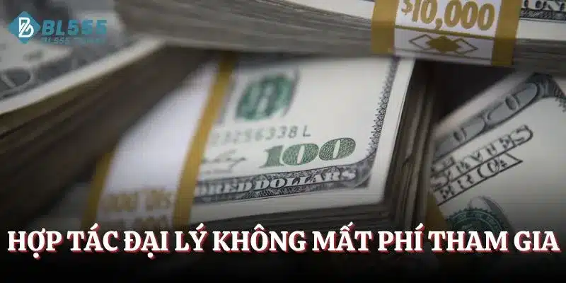 Hợp tác đại lý hoàn toàn không mất phí tham gia