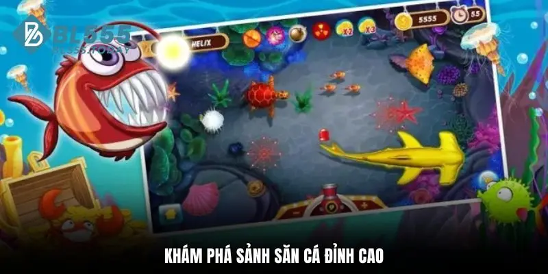 Khám phá sảnh săn cá đỉnh cao